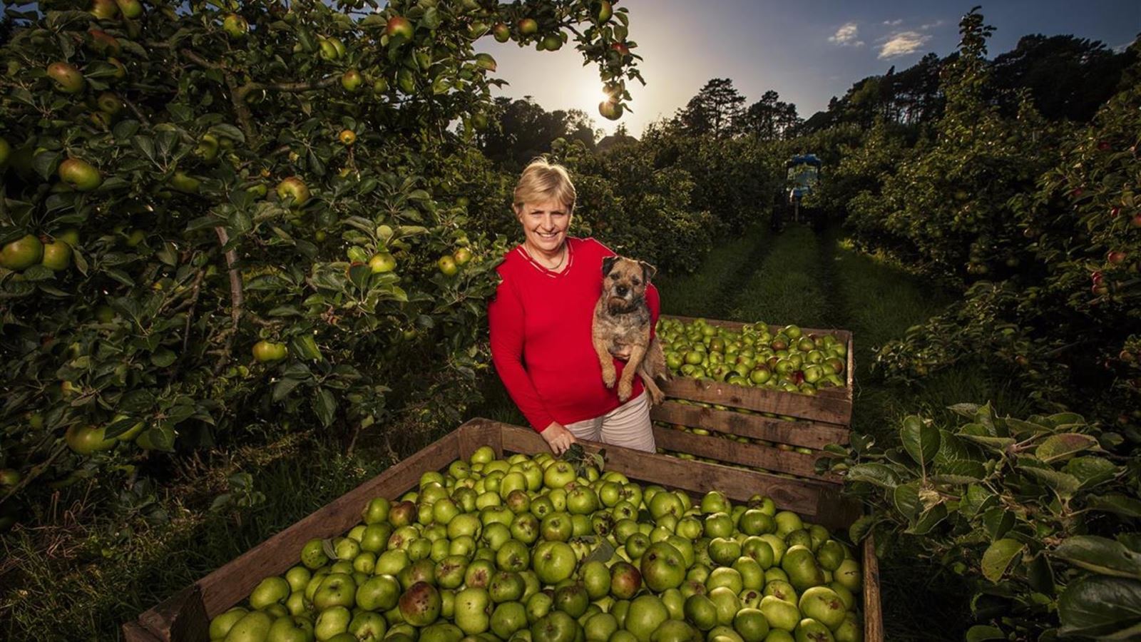 Armagh Cider Company